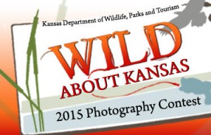 WILD-ABOUT-KANSAS-PHOTO-CONTEST-NOW-OPEN-TO-ALL-AGES_frontimagecrop